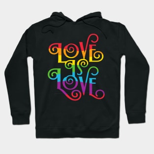 Pride T-Shirt Love is Love Shirt Gay Pride Tshirt Proud LGBTQ apparel Lesbian Pride Bi Pride Equality Shirt Pride Month Gift Rainbow shirt Hoodie